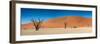 Panorama of the Dead Vlei-Circumnavigation-Framed Photographic Print