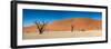 Panorama of the Dead Vlei-Circumnavigation-Framed Photographic Print