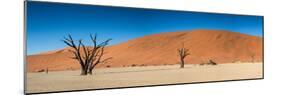 Panorama of the Dead Vlei-Circumnavigation-Mounted Photographic Print