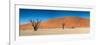 Panorama of the Dead Vlei-Circumnavigation-Framed Photographic Print