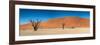 Panorama of the Dead Vlei-Circumnavigation-Framed Photographic Print