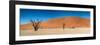 Panorama of the Dead Vlei-Circumnavigation-Framed Photographic Print