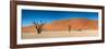 Panorama of the Dead Vlei-Circumnavigation-Framed Photographic Print