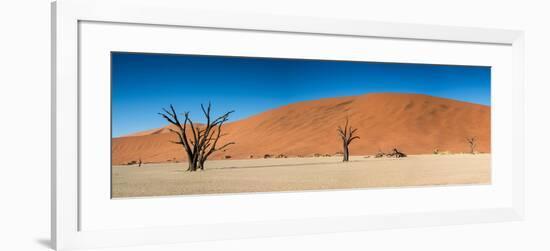 Panorama of the Dead Vlei-Circumnavigation-Framed Photographic Print