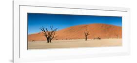 Panorama of the Dead Vlei-Circumnavigation-Framed Photographic Print