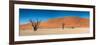 Panorama of the Dead Vlei-Circumnavigation-Framed Photographic Print