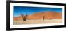 Panorama of the Dead Vlei-Circumnavigation-Framed Photographic Print