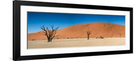 Panorama of the Dead Vlei-Circumnavigation-Framed Photographic Print