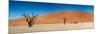 Panorama of the Dead Vlei-Circumnavigation-Mounted Photographic Print