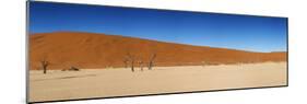 Panorama of the Dead Vlei-Circumnavigation-Mounted Photographic Print