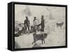 Panorama of the Greely Expedition-null-Framed Stretched Canvas