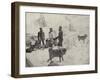 Panorama of the Greely Expedition-null-Framed Photographic Print