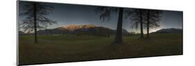Panorama of the Mieming Range in Morning Light with Larch Trees in the Foreground-Niki Haselwanter-Mounted Photographic Print