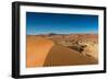 Panorama of the Namib Desert-Circumnavigation-Framed Photographic Print