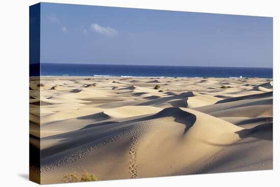 Panorama of the Sand Dunes of Maspalomas-Markus Lange-Stretched Canvas