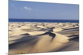 Panorama of the Sand Dunes of Maspalomas-Markus Lange-Mounted Photographic Print