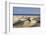 Panorama of the Sand Dunes of Maspalomas-Markus Lange-Framed Photographic Print