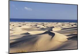 Panorama of the Sand Dunes of Maspalomas-Markus Lange-Mounted Photographic Print