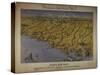 Panorama of the Seat of War: Birds Eye View of North and South Carolina and Part of Georgia, 1861-John Bachmann-Stretched Canvas