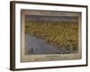 Panorama of the Seat of War: Birds Eye View of North and South Carolina and Part of Georgia, 1861-John Bachmann-Framed Giclee Print