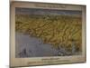 Panorama of the Seat of War: Birds Eye View of North and South Carolina and Part of Georgia, 1861-John Bachmann-Mounted Giclee Print