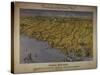 Panorama of the Seat of War: Birds Eye View of North and South Carolina and Part of Georgia, 1861-John Bachmann-Stretched Canvas