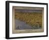 Panorama of the Seat of War: Birds Eye View of North and South Carolina and Part of Georgia, 1861-John Bachmann-Framed Giclee Print