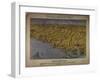 Panorama of the Seat of War: Birds Eye View of North and South Carolina and Part of Georgia, 1861-John Bachmann-Framed Giclee Print