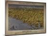 Panorama of the Seat of War: Birds Eye View of North and South Carolina and Part of Georgia, 1861-John Bachmann-Mounted Giclee Print