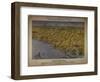 Panorama of the Seat of War: Birds Eye View of North and South Carolina and Part of Georgia, 1861-John Bachmann-Framed Giclee Print