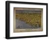 Panorama of the Seat of War: Birds Eye View of North and South Carolina and Part of Georgia, 1861-John Bachmann-Framed Giclee Print