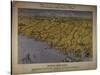 Panorama of the Seat of War: Birds Eye View of North and South Carolina and Part of Georgia, 1861-John Bachmann-Stretched Canvas