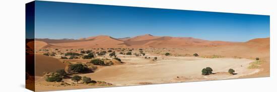 Panorama of the Sossusvlei Desert Pan-Circumnavigation-Stretched Canvas