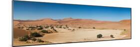 Panorama of the Sossusvlei Desert Pan-Circumnavigation-Mounted Photographic Print