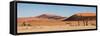 Panorama of the Sossusvlei-Circumnavigation-Framed Stretched Canvas