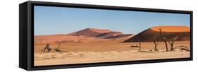 Panorama of the Sossusvlei-Circumnavigation-Framed Stretched Canvas