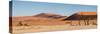 Panorama of the Sossusvlei-Circumnavigation-Stretched Canvas