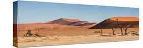 Panorama of the Sossusvlei-Circumnavigation-Stretched Canvas