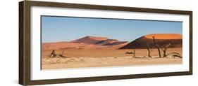 Panorama of the Sossusvlei-Circumnavigation-Framed Photographic Print