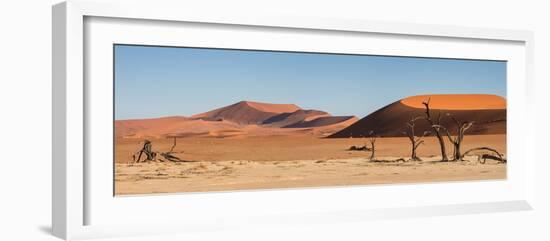 Panorama of the Sossusvlei-Circumnavigation-Framed Photographic Print