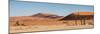 Panorama of the Sossusvlei-Circumnavigation-Mounted Photographic Print