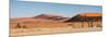 Panorama of the Sossusvlei-Circumnavigation-Mounted Photographic Print