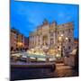Panorama of Trevi Fountain Illuminated by Street Lamps and the Lights at Dusk, Rome, Lazio-Roberto Moiola-Mounted Photographic Print
