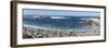 Panorama of Waves Along Monterey Peninsula, California Coast-Sheila Haddad-Framed Photographic Print