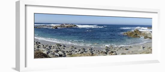 Panorama of Waves Along Monterey Peninsula, California Coast-Sheila Haddad-Framed Photographic Print