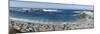 Panorama of Waves Along Monterey Peninsula, California Coast-Sheila Haddad-Mounted Photographic Print