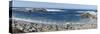 Panorama of Waves Along Monterey Peninsula, California Coast-Sheila Haddad-Stretched Canvas