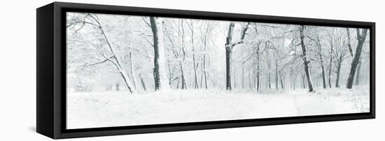 Panorama of Winter Forest with Trees Covered Snow-Olegkalina-Framed Stretched Canvas