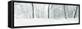 Panorama of Winter Forest with Trees Covered Snow-Olegkalina-Framed Stretched Canvas