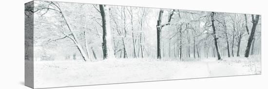 Panorama of Winter Forest with Trees Covered Snow-Olegkalina-Stretched Canvas